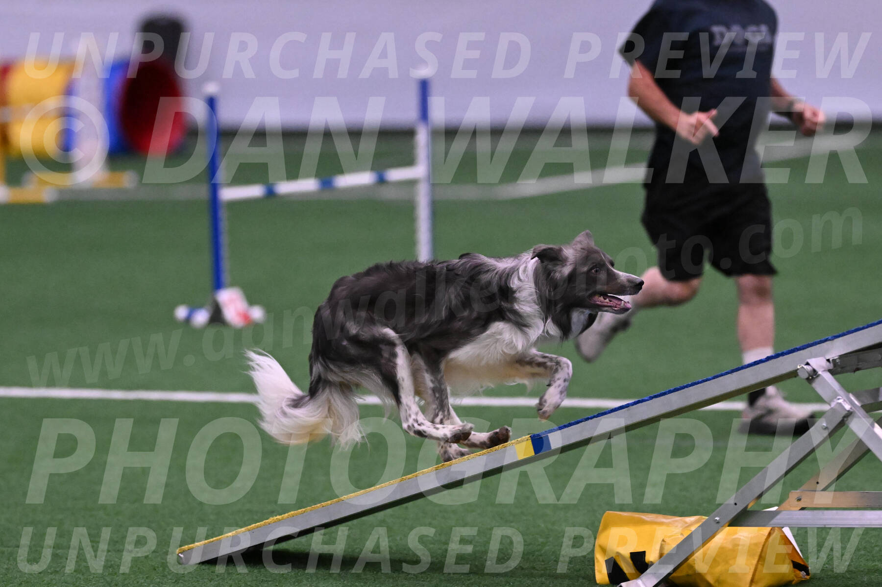 Grindylow-Robert-Rachow-03485