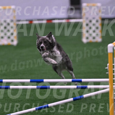 Grindylow-Robert-Rachow-03495