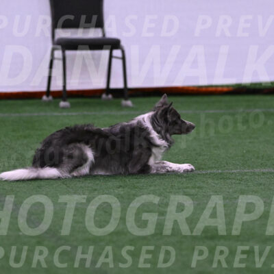 Grindylow-Robert-Rachow-03499