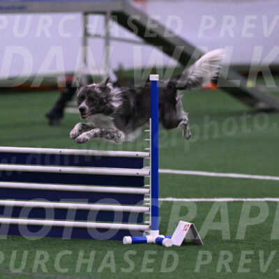 Grindylow-Robert-Rachow-03511