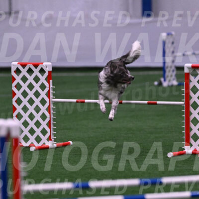 Grindylow-Robert-Rachow-03527