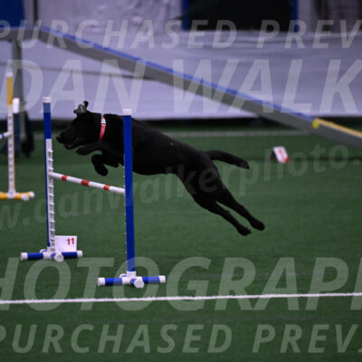 Grindylow-Robert-Rachow-03535