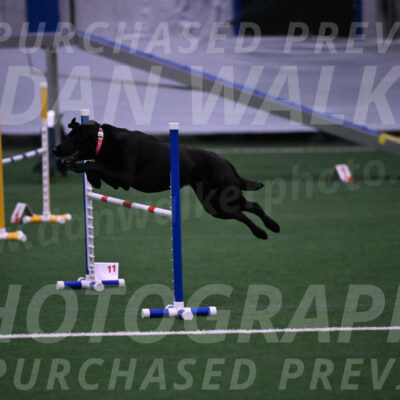 Grindylow-Robert-Rachow-03536