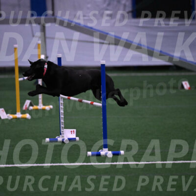 Grindylow-Robert-Rachow-03537