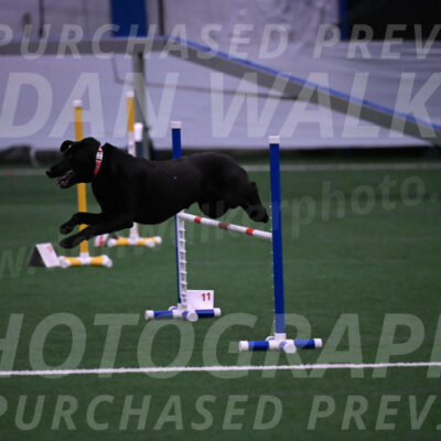 Grindylow-Robert-Rachow-03538