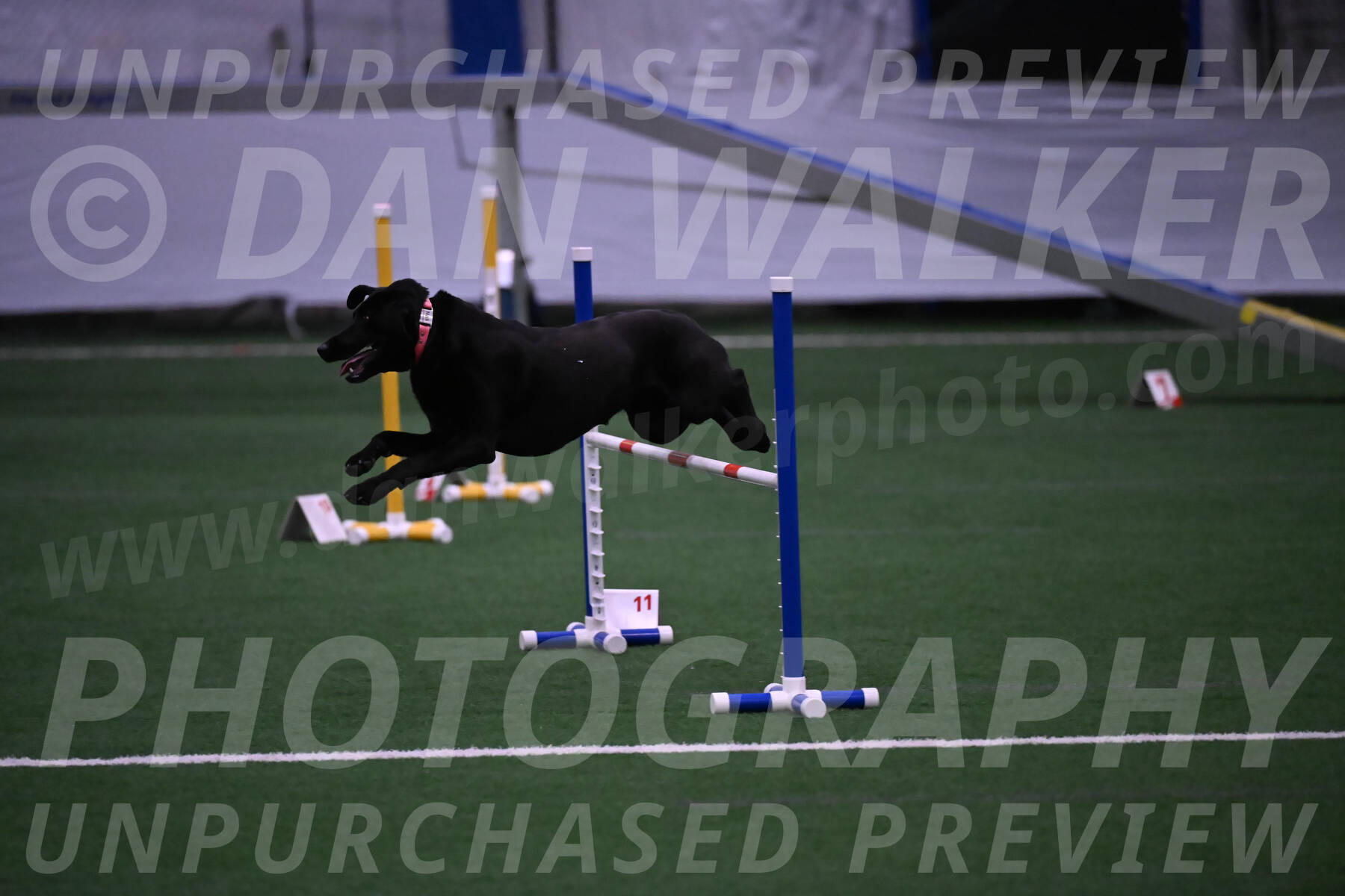 Grindylow-Robert-Rachow-03538