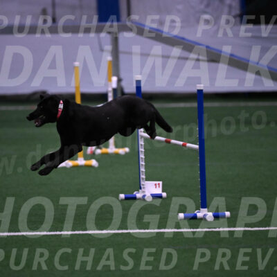 Grindylow-Robert-Rachow-03539