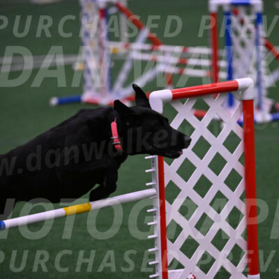 Grindylow-Robert-Rachow-03550
