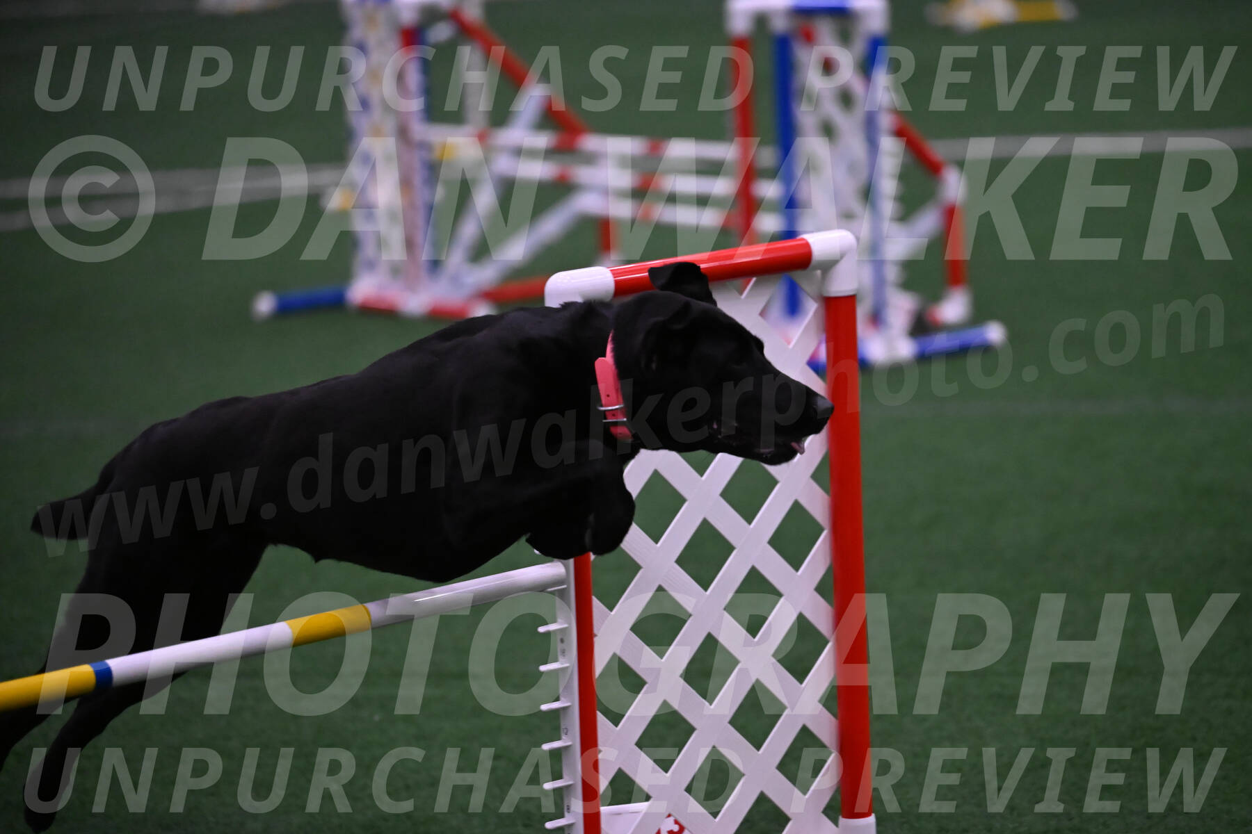 Grindylow-Robert-Rachow-03551