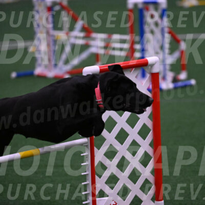 Grindylow-Robert-Rachow-03551