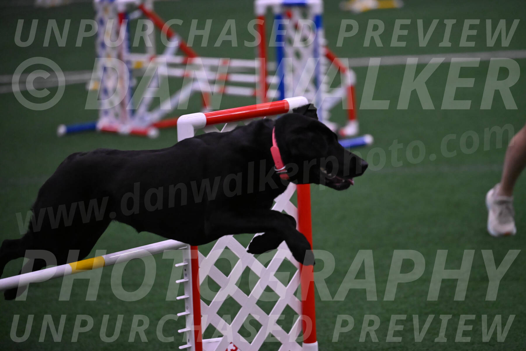 Grindylow-Robert-Rachow-03552