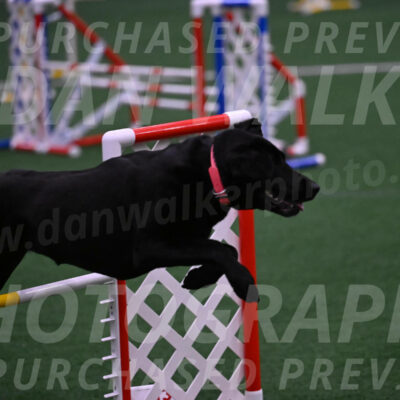 Grindylow-Robert-Rachow-03552