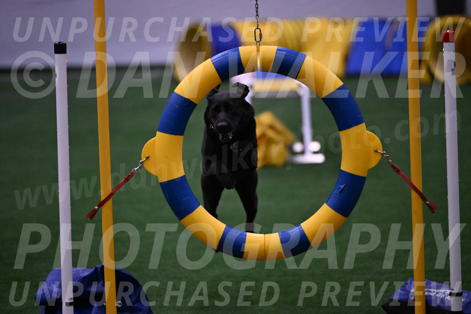 Grindylow-Robert-Rachow-03555