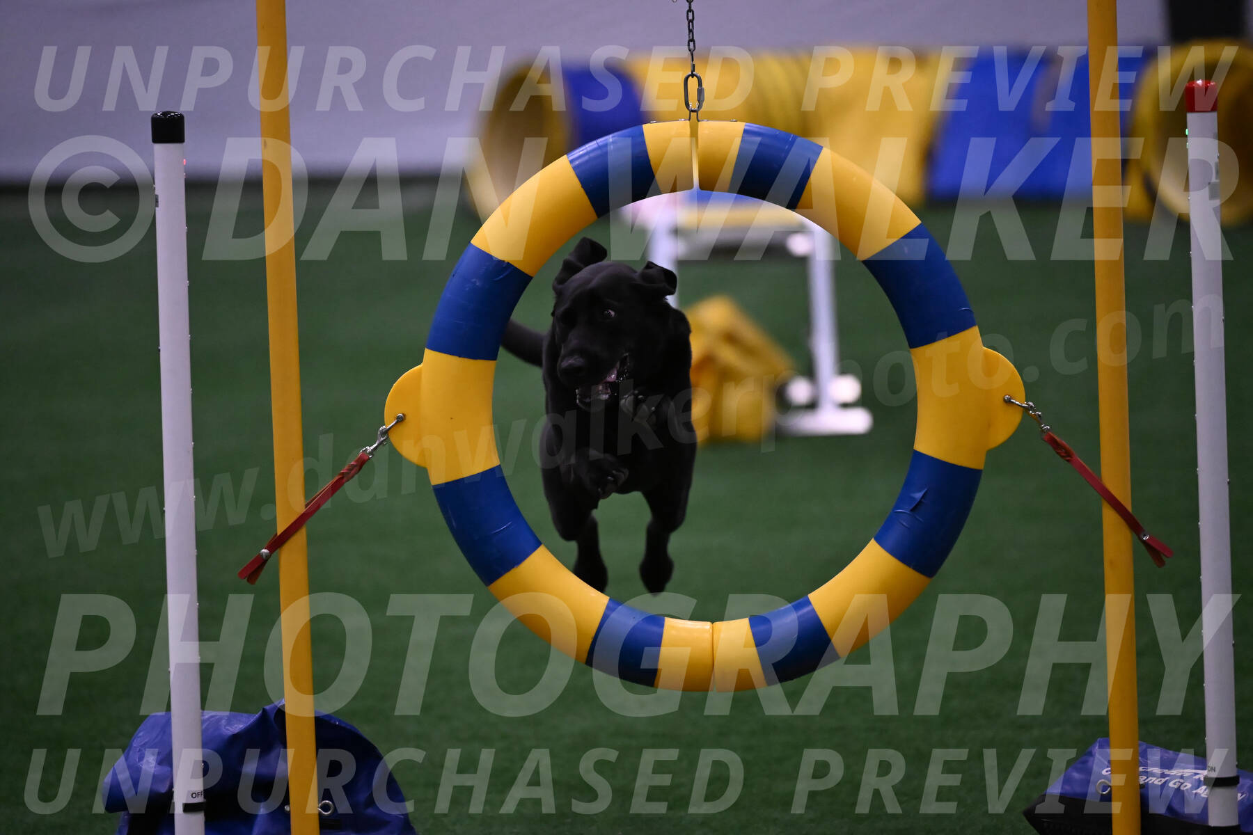 Grindylow-Robert-Rachow-03556