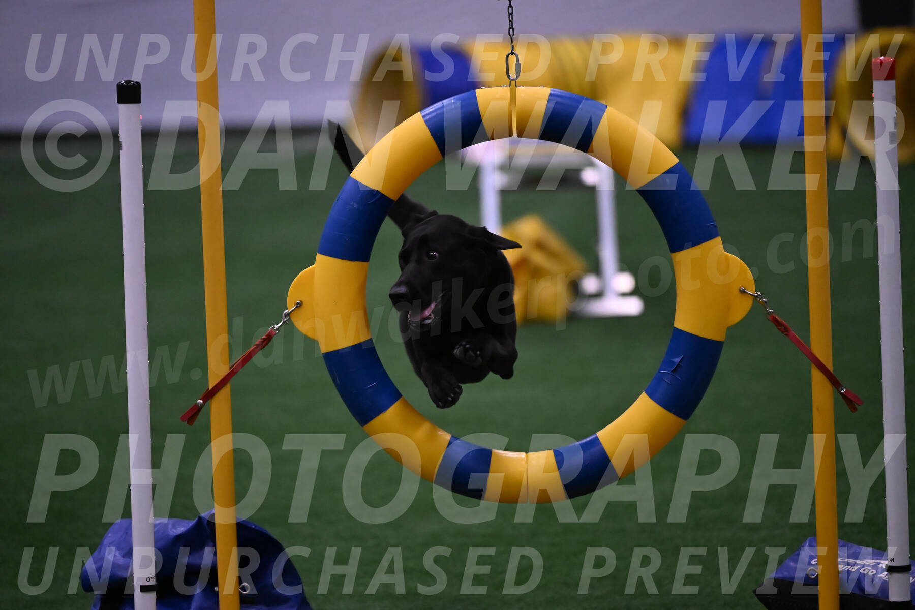 Grindylow-Robert-Rachow-03557