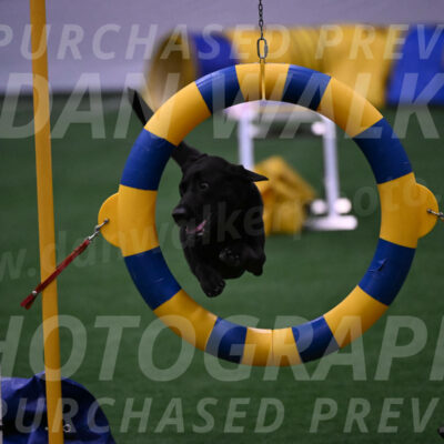 Grindylow-Robert-Rachow-03557