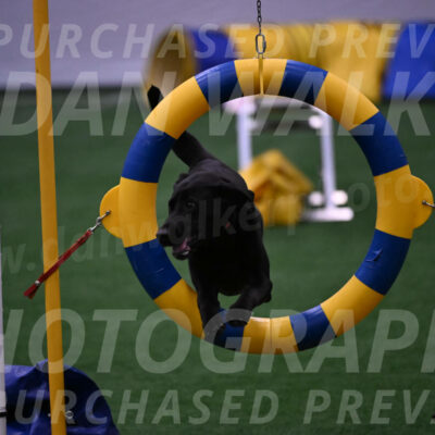 Grindylow-Robert-Rachow-03558
