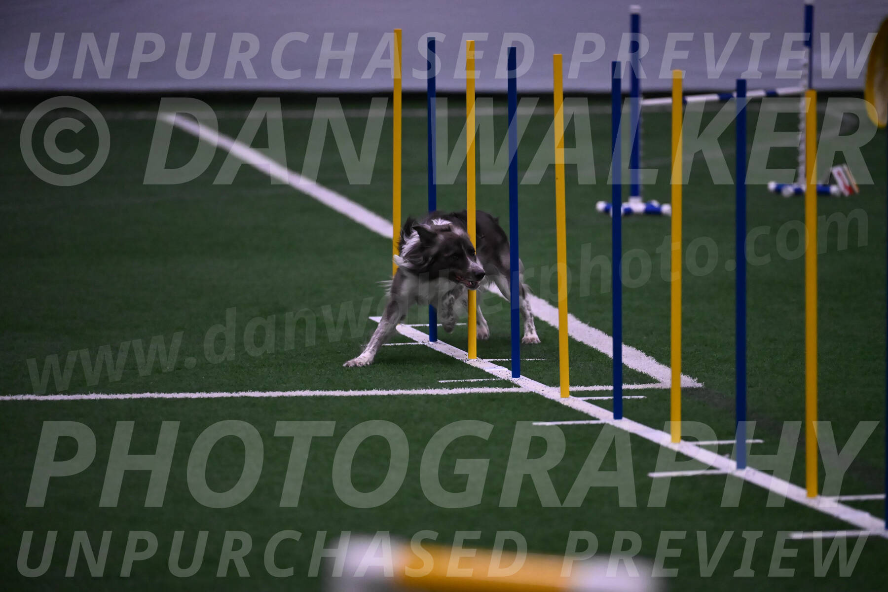 Grindylow-Robert-Rachow-03563