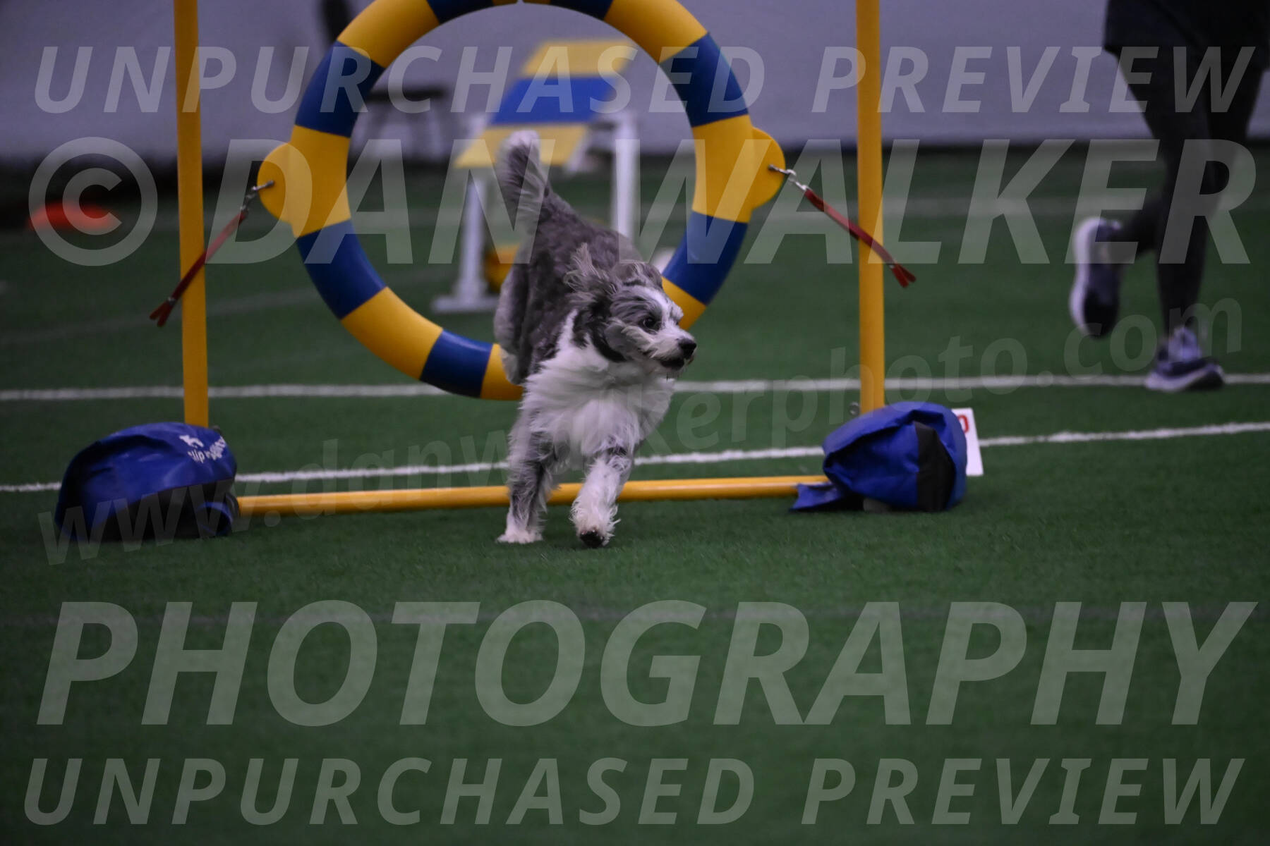 Guinness-Sharon-Hallberg-00070