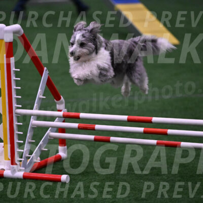 Guinness-Sharon-Hallberg-00093