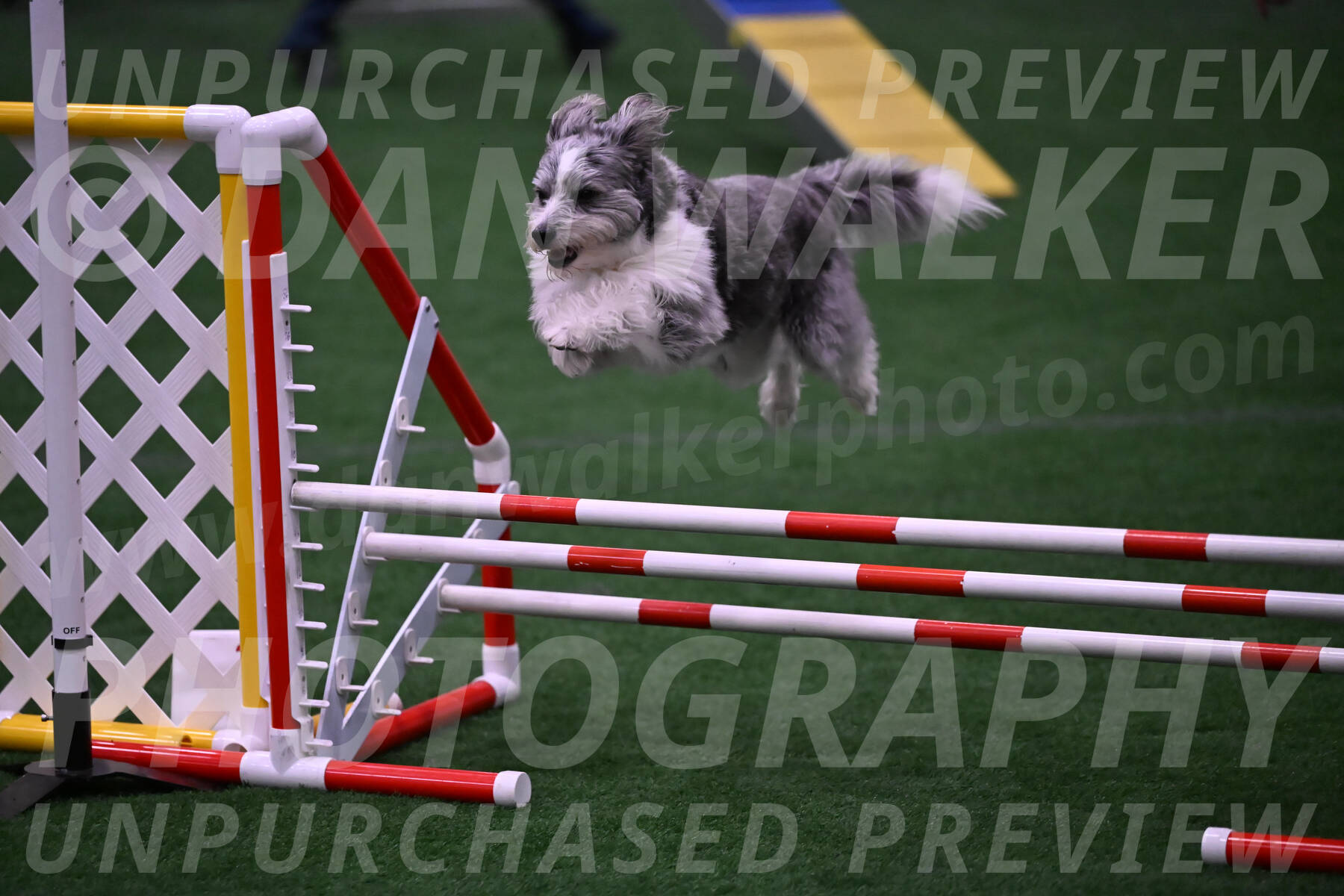 Guinness-Sharon-Hallberg-00093