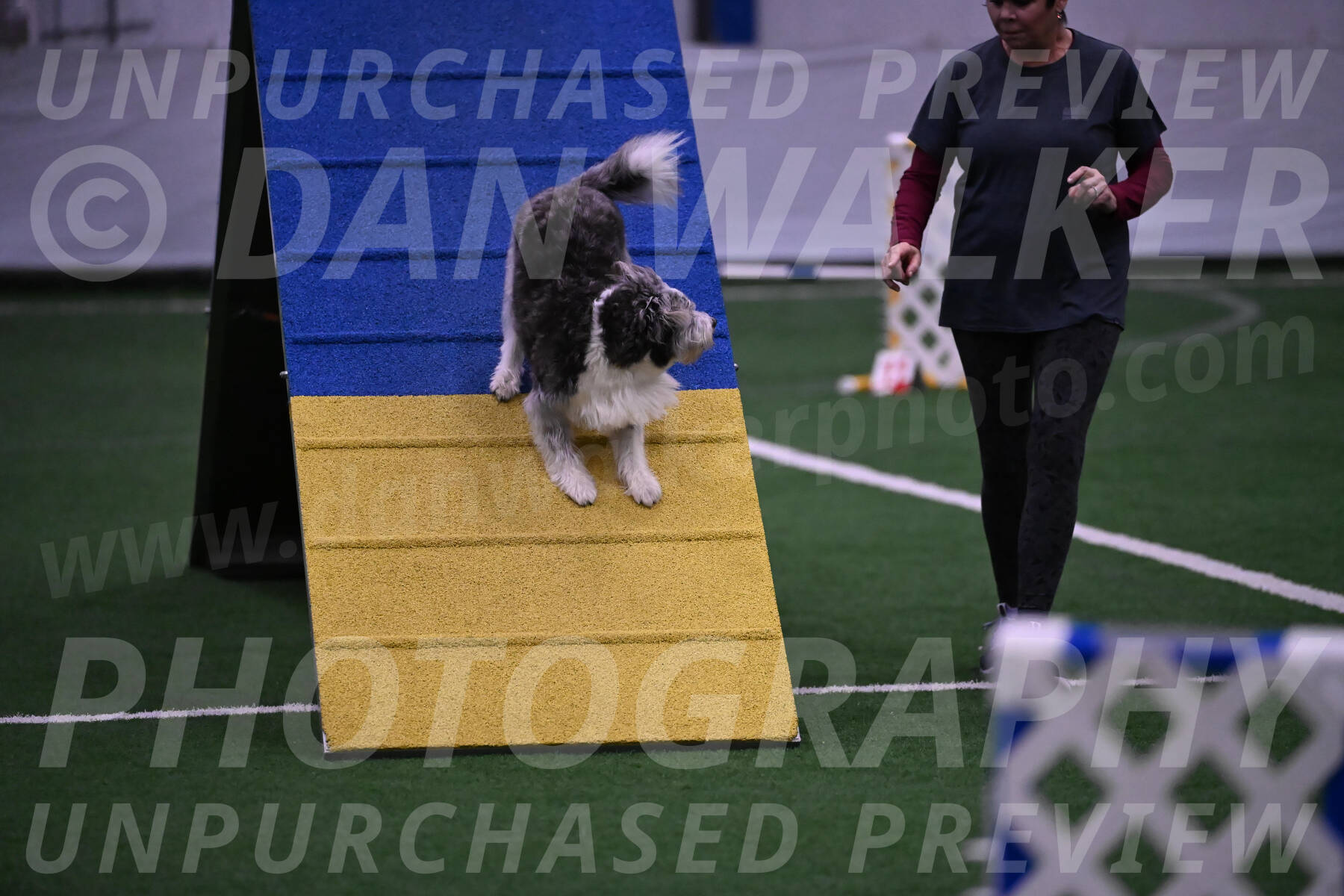 Guinness-Sharon-Hallberg-00113