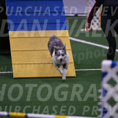 Guinness-Sharon-Hallberg-00116