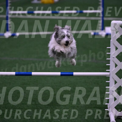 Guinness-Sharon-Hallberg-00139