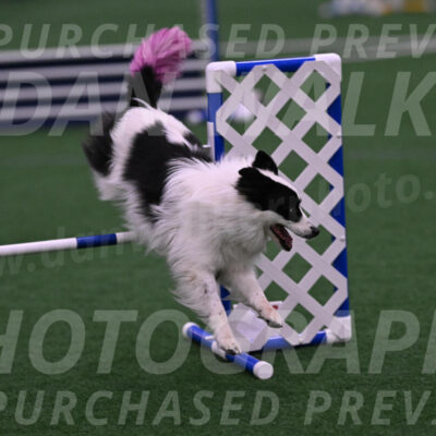 Hoopla-Tricia-Solinger-12462