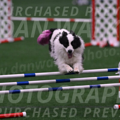 Hoopla-Tricia-Solinger-12470