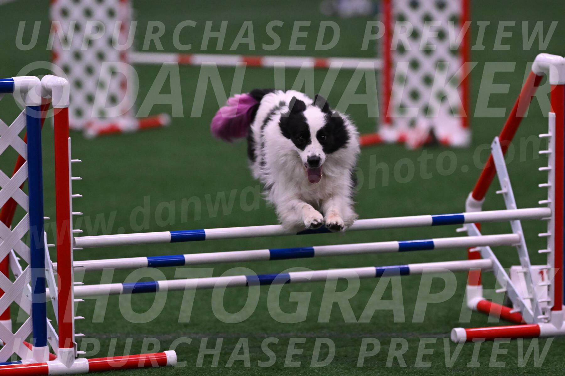 Hoopla-Tricia-Solinger-12470