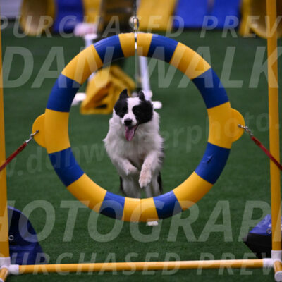 Hoopla-Tricia-Solinger-12472
