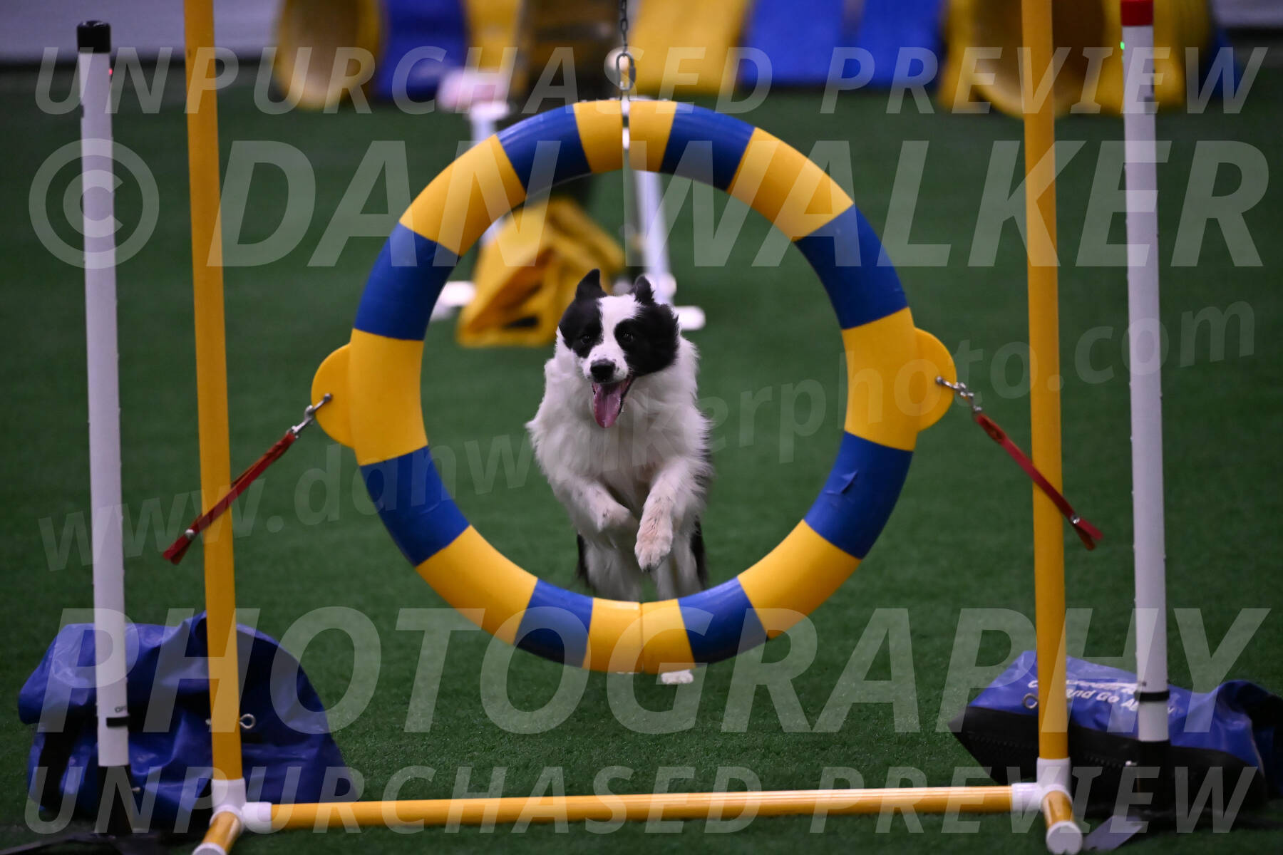 Hoopla-Tricia-Solinger-12472