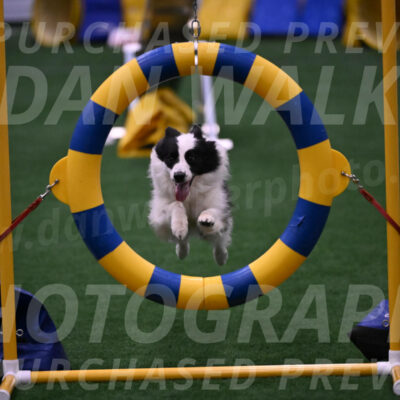 Hoopla-Tricia-Solinger-12473