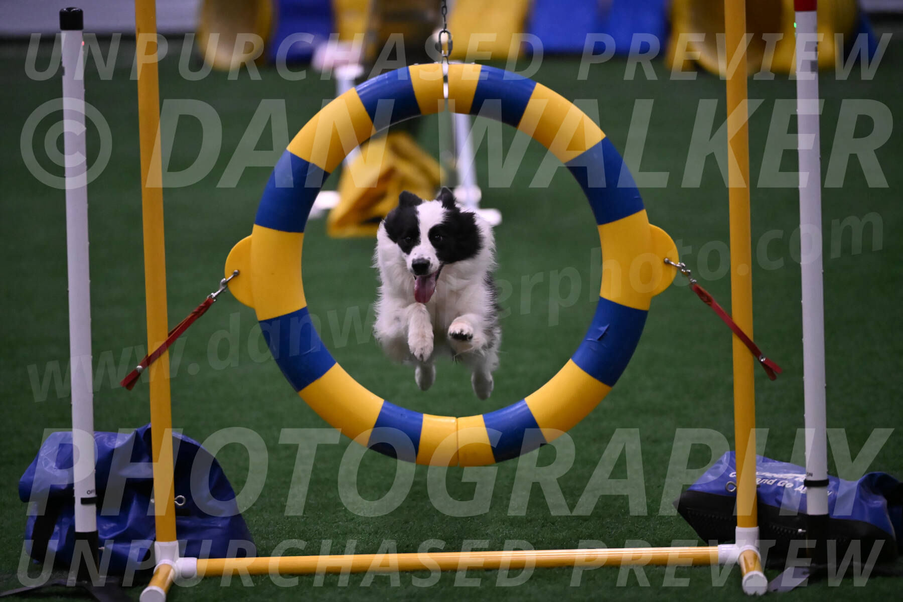 Hoopla-Tricia-Solinger-12473