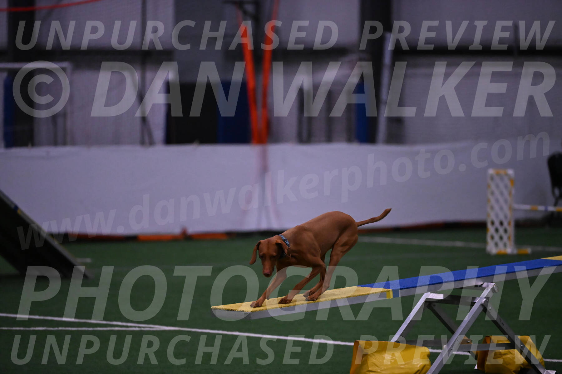 Indie-Jean-Bonness-02940
