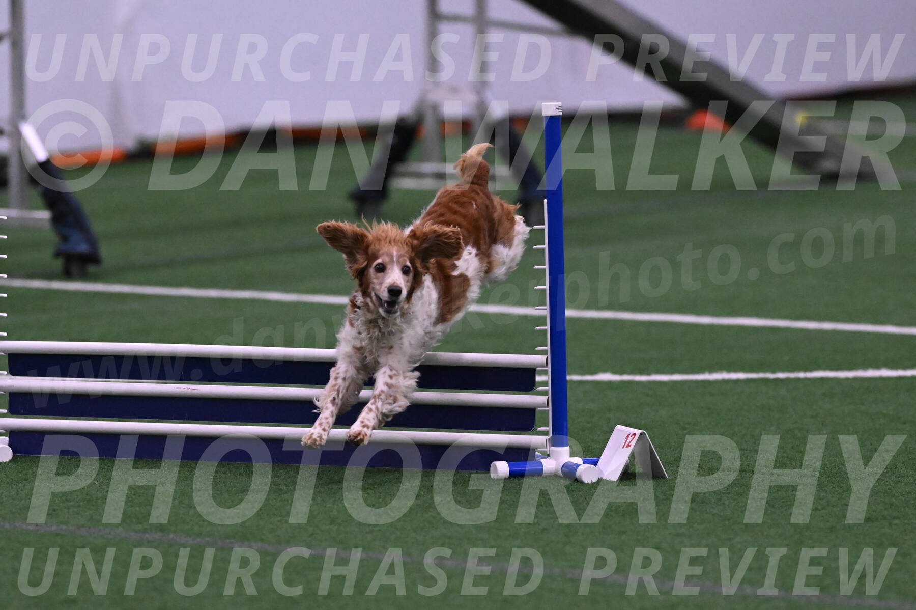 Izzy-Kathy-Barickman-08650