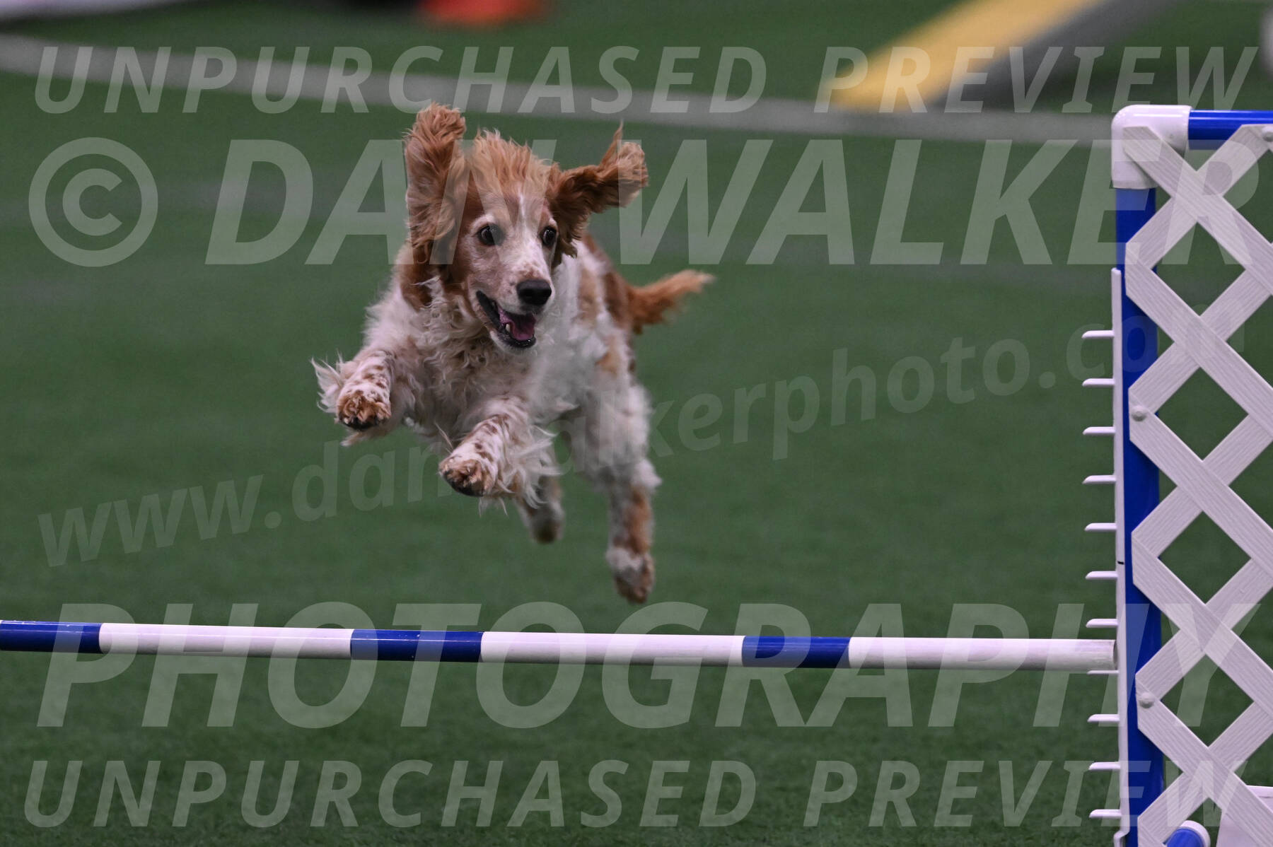 Izzy-Kathy-Barickman-08651