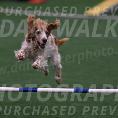 Izzy-Kathy-Barickman-08651