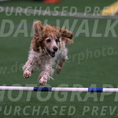 Izzy-Kathy-Barickman-08652