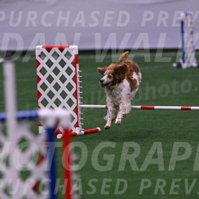 Izzy-Kathy-Barickman-08659