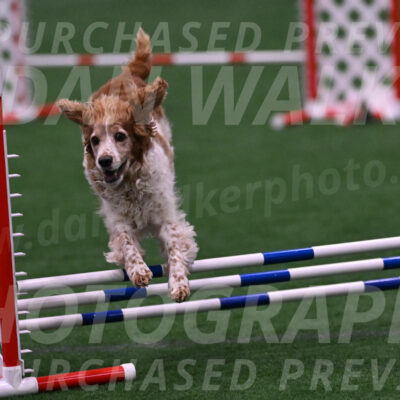 Izzy-Kathy-Barickman-08664