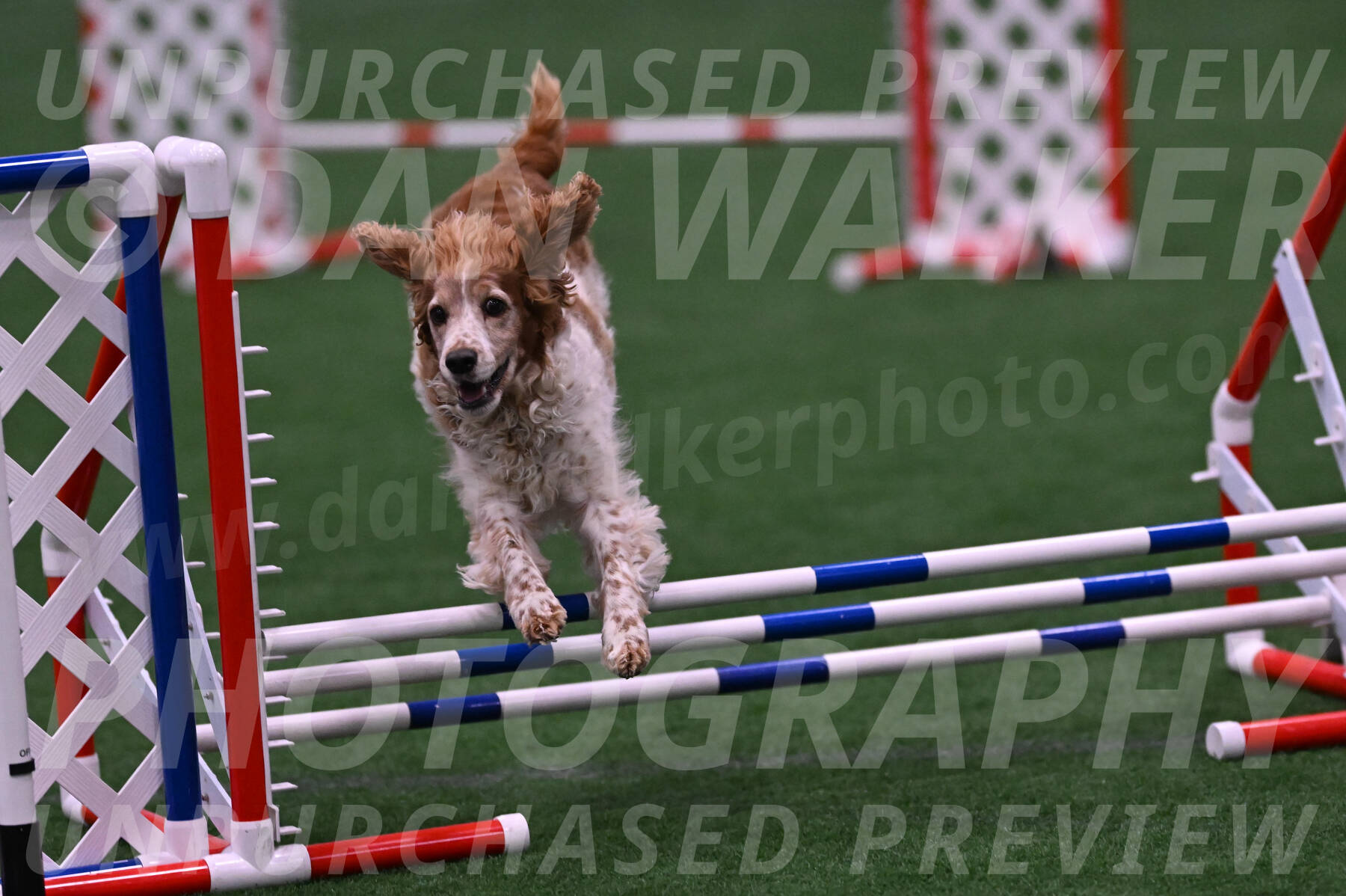 Izzy-Kathy-Barickman-08664
