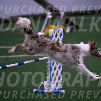 Jagger-Tamie-Rogers-02355