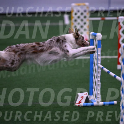 Jagger-Tamie-Rogers-02367