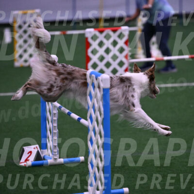 Jagger-Tamie-Rogers-02370
