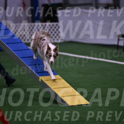 Jagger-Tamie-Rogers-02378