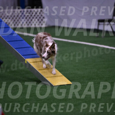 Jagger-Tamie-Rogers-02381