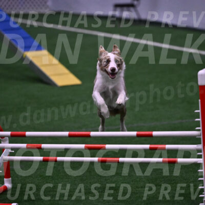 Jagger-Tamie-Rogers-02384