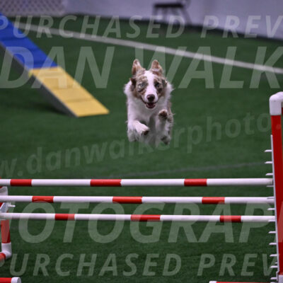 Jagger-Tamie-Rogers-02385
